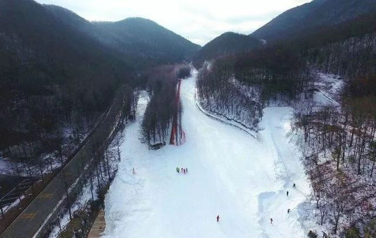 宜昌乘阿波罗游轮到神农架滑雪赏雪三日游线路12月10日起发团