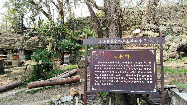 远安被湖北省环境保护委员会授予“湖北省生态县”称号，美丽远安诗画山水